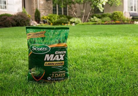 Can I Use Starter Fertilizer on Established Lawn: A Dive into Unconventional Lawn Care Practices