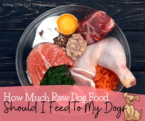 How to Feed Raw Chicken to Dogs and Why They Might Prefer It Over a Game of Fetch