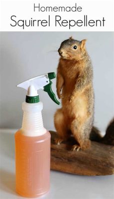 Is Cutter Backyard Spray Safe for Dogs? And Why Do Squirrels Always Look So Suspicious?