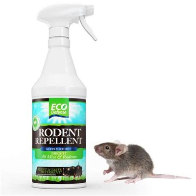 What Spray Kills Mice Instantly: Exploring the Unlikely Connection Between Pest Control and Modern Art