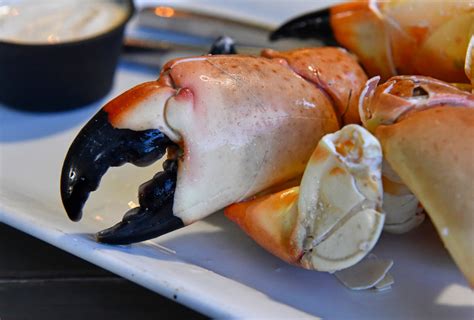 When Does Stone Crab Season Start: A Dive into the Depths of Culinary Curiosity