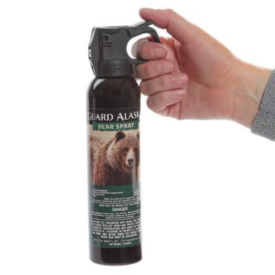 Where to Buy Bear Spray in California: A Guide to Wilderness Safety and Unrelated Musings